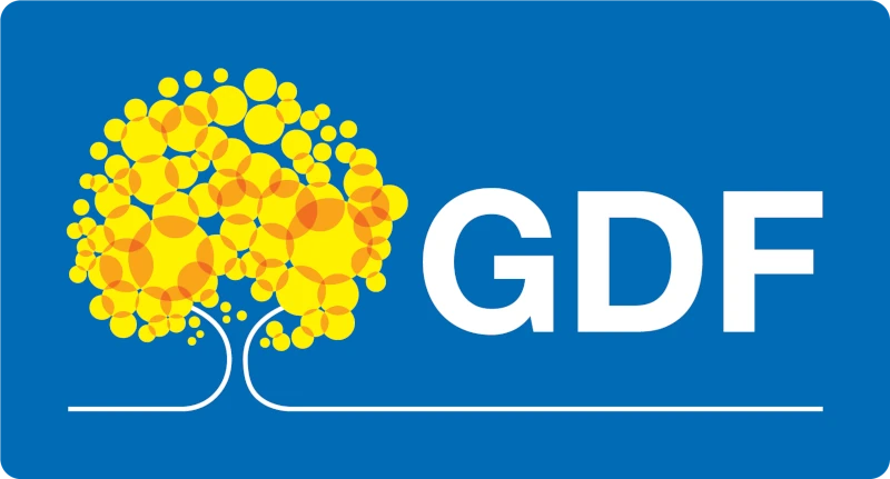 Governo do Distrito Federal